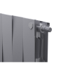 Royal Thermo PianoForte 200 VDR Silver Satin 20 секций радиатор фото 4 — Умный климат - Красноярск
